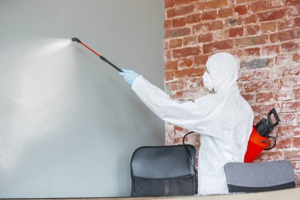 Best Mold Removal for HVAC Installations  in Patterson, LA