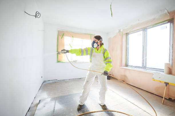 Environmental Consulting for Mold Prevention in Patterson, LA