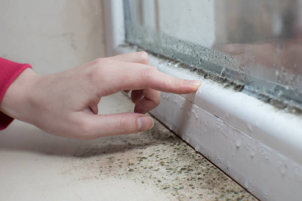 Best Indoor Air Quality Assessment  in Patterson, LA