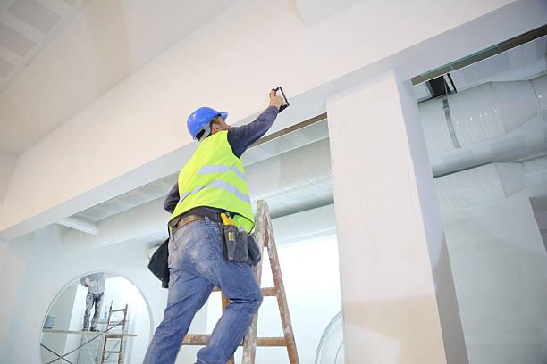 Best Comprehensive Air Testing for Mold Contaminants  in Patterson, LA